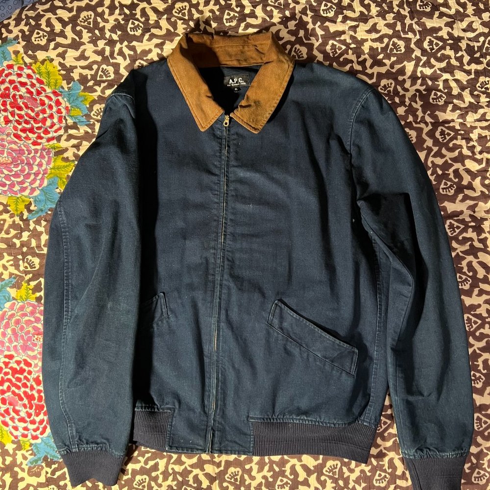 APC Blue Bomber with Light Brown Collar